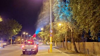 Acţiuni de dezinsecţie, miercuri și joi, în CONSTANȚA şi stațiunea MAMAIA