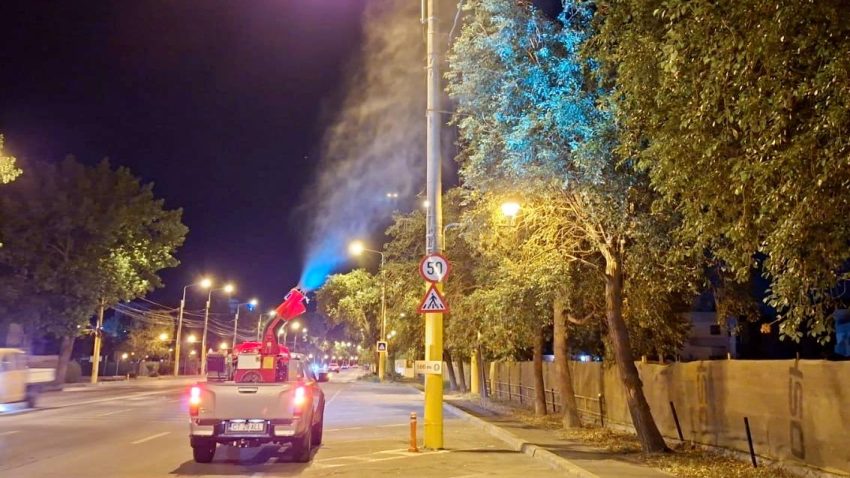 Acţiuni de dezinsecţie, miercuri și joi, în CONSTANȚA şi stațiunea MAMAIA