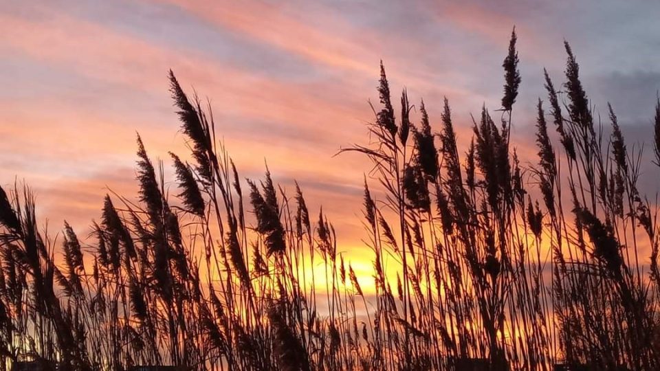 Vreme predominant frumoasă, în Dobrogea și pe litoral
