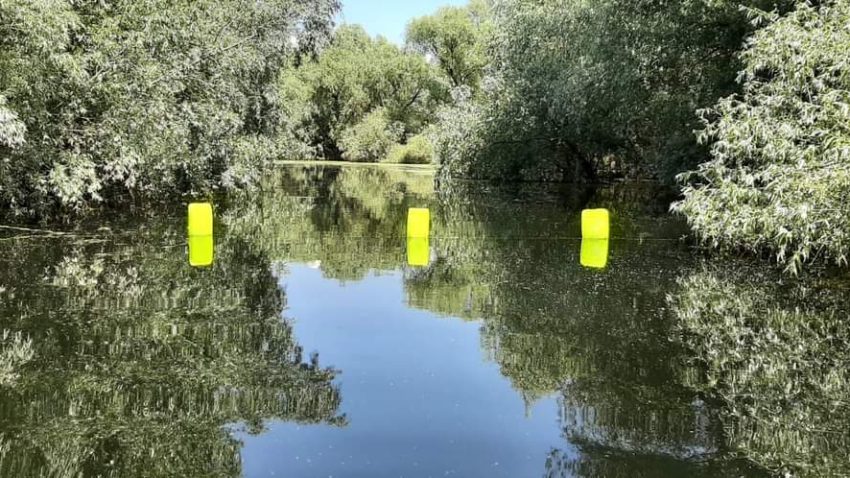 TULCEA: Limita de viteză de 5 km/h pe canalele din rezervație, benefică pentru protejarea Deltei