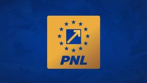 Tribunalul Ilfov a suspendat deciziile PNL privind votarea Guvernului Veștea