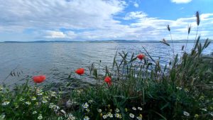 Duminică vremea se încălzește ușor în Dobrogea și pe litoral