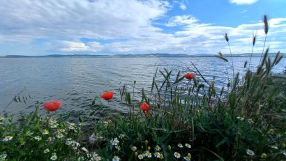 Duminică vremea se încălzește ușor în Dobrogea și pe litoral
