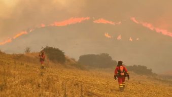 SPANIA: Un incendiu devastator a mistuit 12.000 de hectare de pădure și se apropie de Madrid