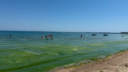 ABADL: Algele de pe litoral sunt strânse zilnic
