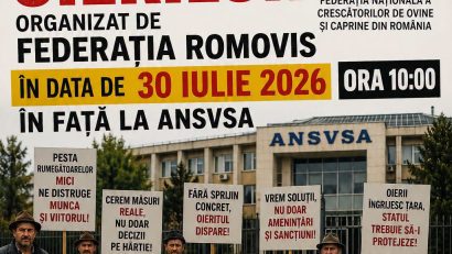 AUDIO | Crescători de oi și de capre au protestat, în Capitală, nemulțumiți de blocarea exporturilor de animale