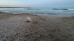 Vremea va fi instabilă, în Dobrogea, cu cel mult 28 de grade Celsius în aer