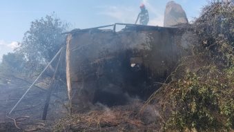 TULCEA: Incendiu de vegetație, extins la o casă de locuit, în localitatea Zebil