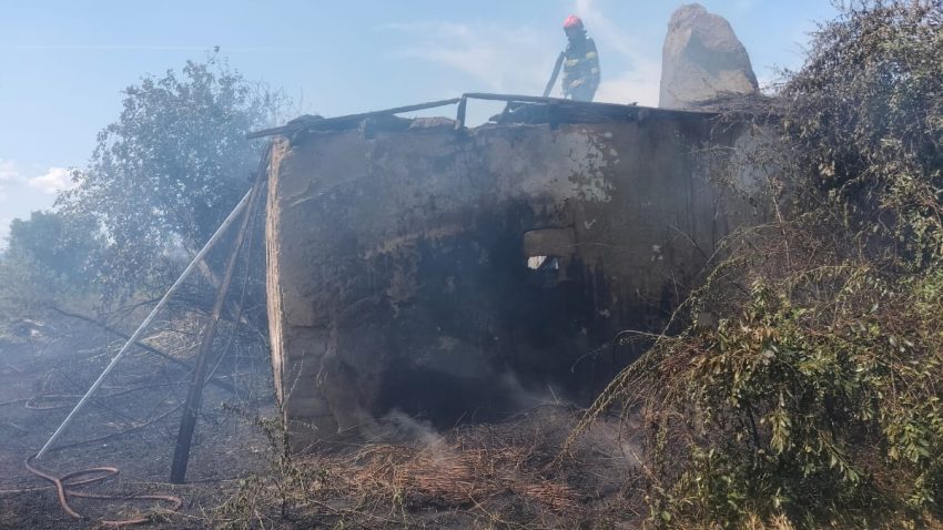 TULCEA: Incendiu de vegetație, extins la o casă de locuit, în localitatea Zebil