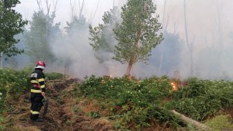 TULCEA: Fumatul în loc nepermis este cauza probabilă a incendiului de pădure de la Rachelu