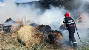HÂRȘOVA: Incendiu violent la un depozit de baloți