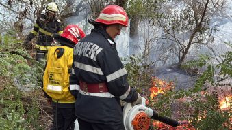 TULCEA: Aproape 470 de hectare de vegetație mistuite în 65 de incendii, de la începutul anului, în județ