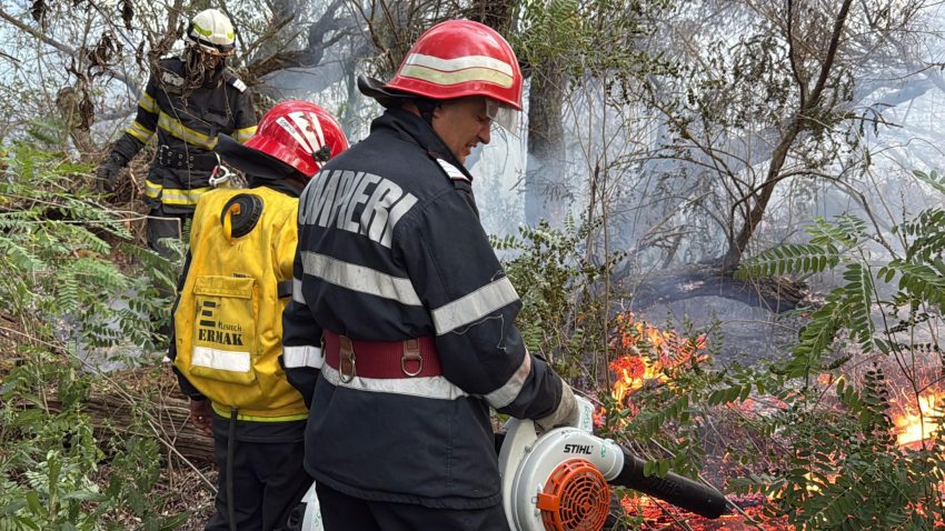 TULCEA: Aproape 470 de hectare de vegetație mistuite în 65 de incendii, de la începutul anului, în județ