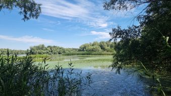 AUDIO | Ape tot mai scăzute în Delta Dunării. Care sunt riscurile pentru ecosistem