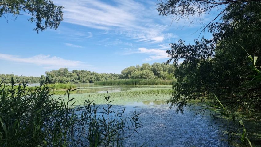 AUDIO | Ape tot mai scăzute în Delta Dunării. Care sunt riscurile pentru ecosistem
