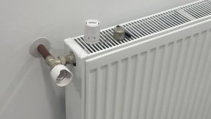 TULCEA: Sala Polivalentă, „inaugurată” de unii vizitatori