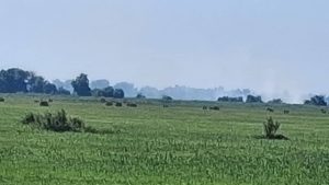 TULCEA: Incendiu de vegetație, provocat de resturile de dronă căzute la Periprava