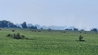 TULCEA: Incendiu de vegetație, provocat de resturile de dronă căzute la Periprava
