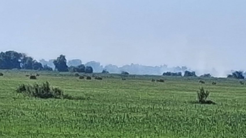 TULCEA: Incendiu de vegetație, provocat de resturile de dronă căzute la Periprava