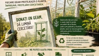 Stațiunea Legumicolă Buzău face un apel inedit pentru donații de geamuri vechi, în urma pagubelor produse de furtuni