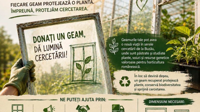 Stațiunea Legumicolă Buzău face un apel inedit pentru donații de geamuri vechi, în urma pagubelor produse de furtuni