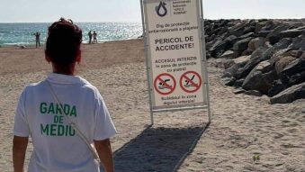 Amenzi de peste 4 milioane de lei, în urma controlalelor Gărzii Naționale de Mediu pe litoral