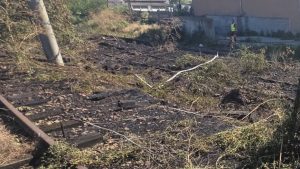 Incendiu de vegetație în zona feroviară Fir 2 Constanța Port Zona B – Constanța Vii. Circulația trenurilor de călători a fost oprită temporar