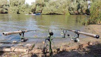 TULCEA: Reguli privind pescuitul recreativ în Rezervația Biosferei Delta Dunării