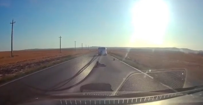 VIDEO | Județul TULCEA: Dosar penal în cazul copilului care a căzut pe carosabil dintr-o mașină aflată în mers