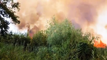 TULCEA: Incendiul din zona Chilia Veche a mistuit 1.500 de hectare de vegetație și un hectar de pădure