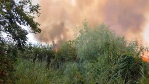 TULCEA: Incendiu de vegetație uscată în apropiere de Chilia Veche. Există riscul ca focul să ajungă și la fondul forestier