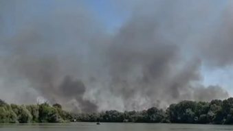 TULCEA: Pompierii acționează în continuare pentru localizarea și lichidarea incendiului izbucnit în zona Ostrovul Babina