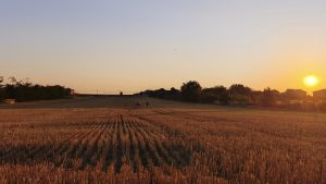Vreme caniculară în Dobrogea, cu o maximă de 36 de grade