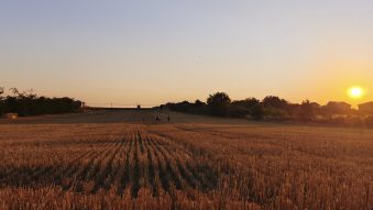 Vreme caniculară în Dobrogea, cu o maximă de 36 de grade