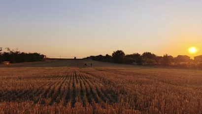 Vreme caniculară în Dobrogea, cu o maximă de 36 de grade