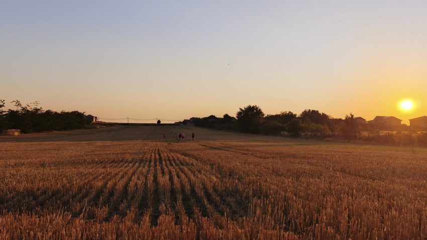 Vreme caniculară în Dobrogea, cu o maximă de 36 de grade