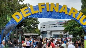 CONSTANȚA: Peste 5.400 de spectatori la Delfinariu. Reprezentațiile au fost suplimentate