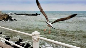 Vreme instabilă și răcoroasă, în Dobrogea și pe litoral