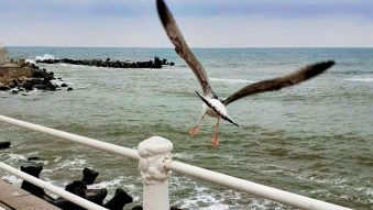Vreme instabilă și răcoroasă, în Dobrogea și pe litoral