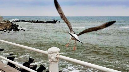 Vreme răcoroasă și instabilă, duminică, în Dobrogea