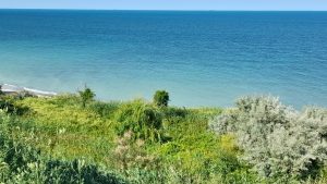 Vreme normală termic, în Dobrogea și pe litoral