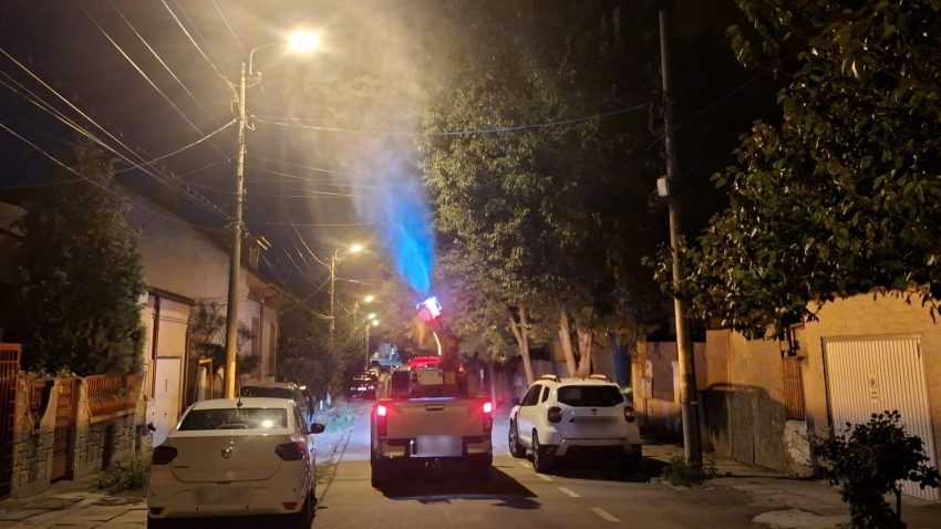 CONSTANȚA – MAMAIA: Noi acțiuni de delarvizare și dezinsecție