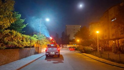 CONSTANȚA / MAMAIA: Intervenții pentru combaterea insectelor