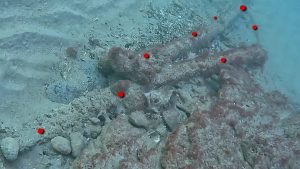 Ancoră antică rară, identificată în Marea Neagră