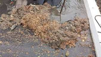 TULCEA: Șervețele, PET-uri, ambalaje de plastic și pungi, descoperite de echipa Aquaserv într-o canalizare care se înfundase