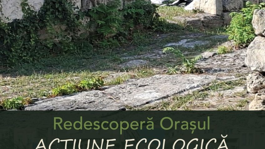 CONSTANȚA: Acțiune de ecologizare a siturilor arheologice din centrul istoric