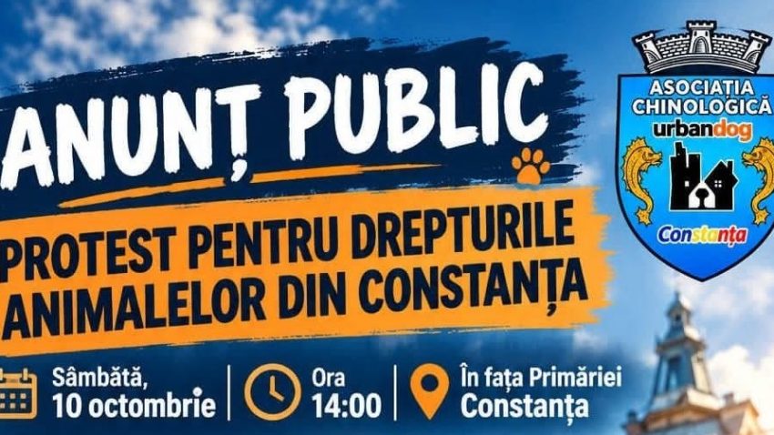 Protest pentru drepturile animalelor în CONSTANȚA: Apel la acțiune lansat de Asociația Chinologică Urban Dog