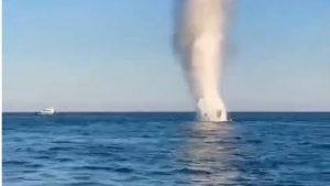 MApN: Resturi de dronă, neutralizate de scafandri EOD la 50 de mile marine Est de Grindul Chituc din județul Constanța