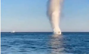 MApN: Resturi de dronă, neutralizate de scafandri EOD la 50 de mile marine Est de Grindul Chituc din județul Constanța