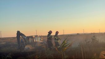 TULCEA: Incendiu de vegetație, în apropiere de localitatea Sarinasuf, cu risc de propagare la o fermă piscicolă